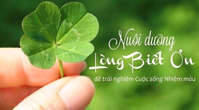 Sống mỗi ngày với lòng biết ơn