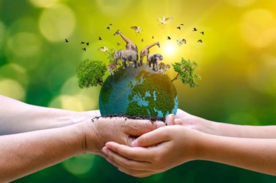 Biết hành động – Chung tay tạo nên những điều tốt đẹp