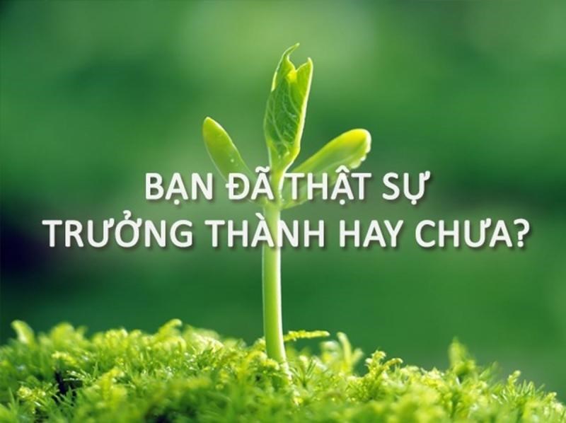 Vẻ đẹp của việc trưởng thành