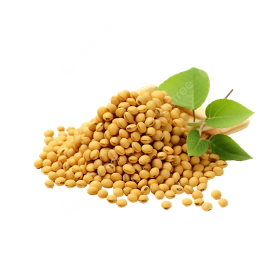 15 CÔNG THỨC SINH TỐ VỚI ĐẬU NÀNH THEO MÙA – UỐNG NGON, DÁNG ĐẸP, SỐNG LÀNH