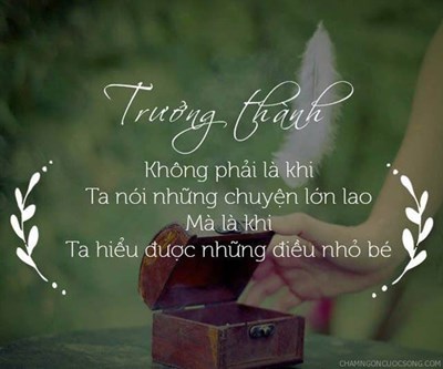 SỰ TRƯỞNG THÀNH THỰC SỰ KHÔNG NẰM Ở TUỔI TÁC – MÀ Ở CẢNH GIỚI NỘI TÂM