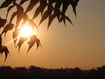 Vận dụng Luật hấp dẫn vũ trụ vào cuộc sống