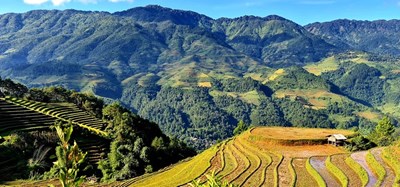 Không biết mình là ai, bạn sẽ sống theo kịch bản của người khác.