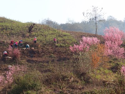 Biết đủ – Nghệ thuật sống giàu có từ bên trong