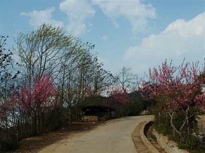 Biết mình muốn gì, “Thần đèn” có thể giúp bạn!