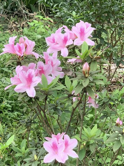 Biết yêu thương mới biết Sống giữa bạn bè