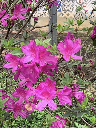 Cho đi hào phóng, Đón nhận cừ khôi