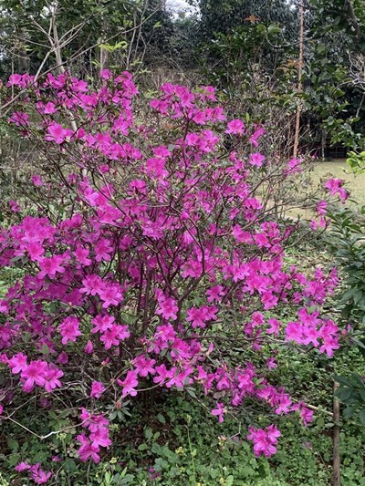 Biết yêu thương – Căn cốt của một Cộng đồng xã hội