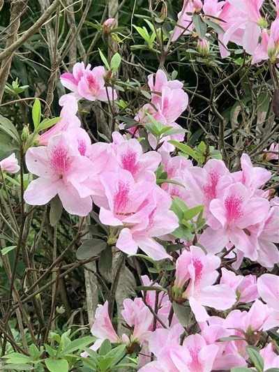 Sống với bản thân - 5 tầng năng lượng tự yêu