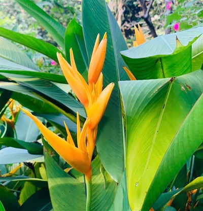 Sống có gu - Sống đúng Tần số cá nhân để thu hút đúng người, đúng cơ hội