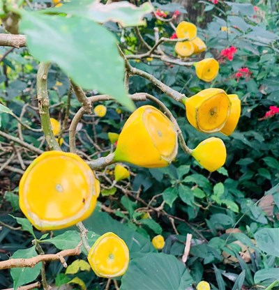 Làm sao biến đam mê thành hệ kỹ năng có thể kiếm tiền?  