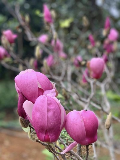 Mục tiêu sống là gì? Mục tiêu sống có ý nghĩa gì cho sự phát triển bản thân?