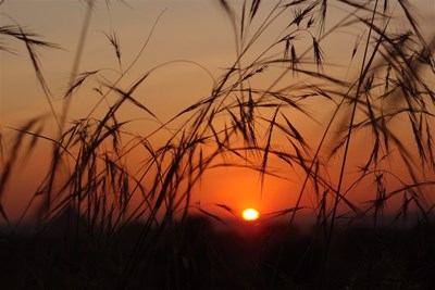 Làm thế nào để xây dựng mục tiêu mang tính SMART? Làm thế nào để hiện thực hóa mục tiêu cuộc sống?